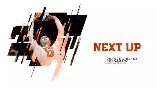 Orange & Black Preview