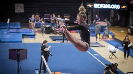 Halli Briscoe - bars