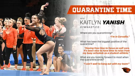 Kaitlyn Yanish - quarantine graphic