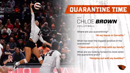 Chloe Brown - quarantine graphic