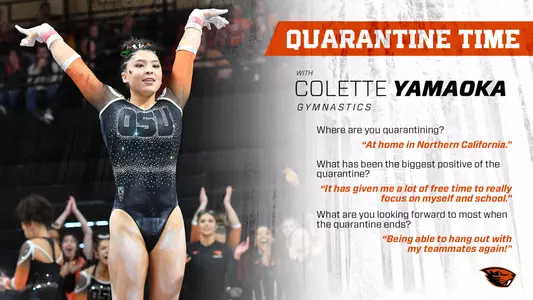 Colette Yamaoka - quarantine graphic