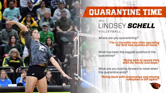 Lindsey Schell - quarantine graphic