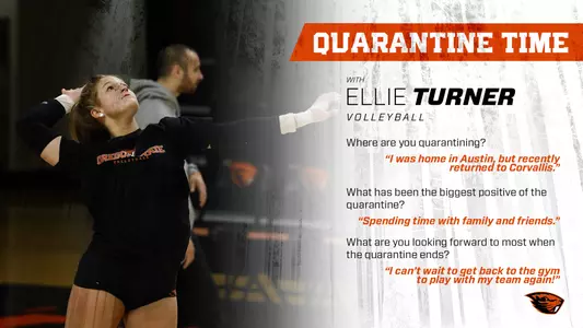 Ellie Turner - quarantine graphic