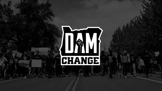 Dam Change