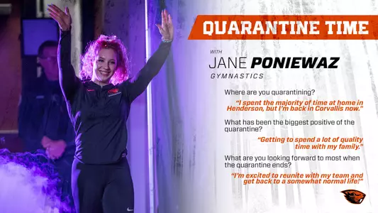 Jane Poniewaz - quarantine graphic