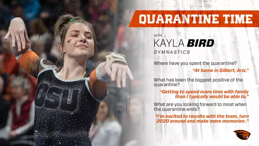 Kayla Bird - quarantine graphic