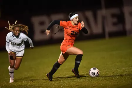 Salveter - California 2021