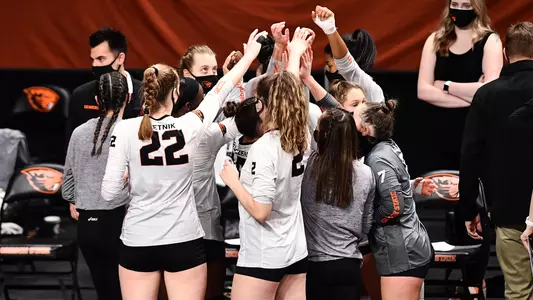 Volleyball Team