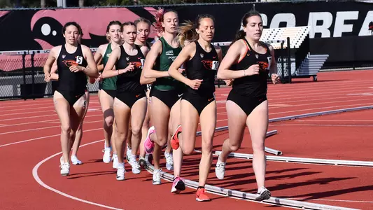 Ayala, Fuhrman, Mount, Rinck