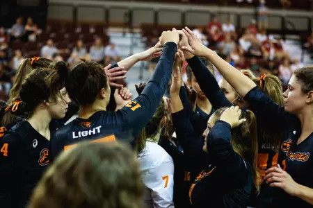 VB Team