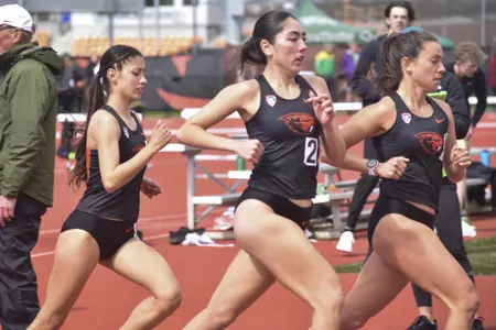 High performance meet