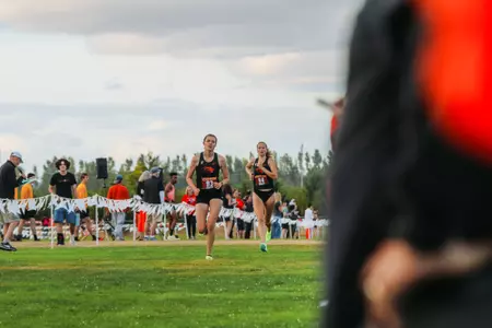 Knox Winning Ash Creek