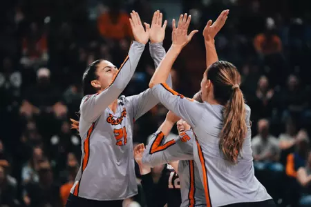 Burns, Sheridan vs. Arizona