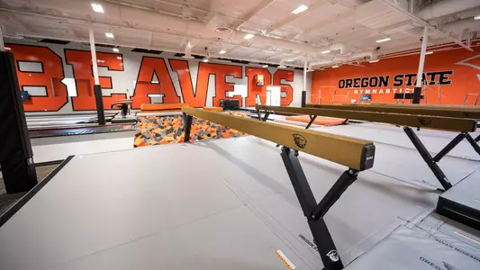 Gymnastics