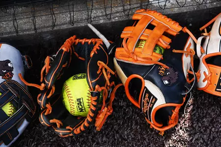 Softball gloves
