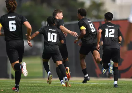 Celebration