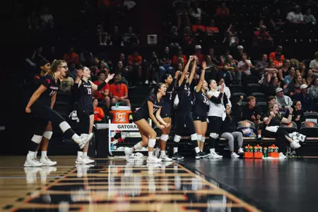Volleyball bench celebration