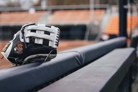 SB glove