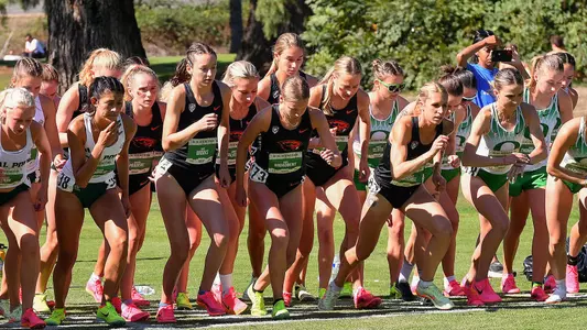 XC TM