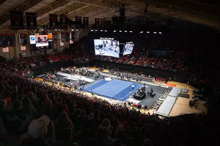 Gill / Gymnastics