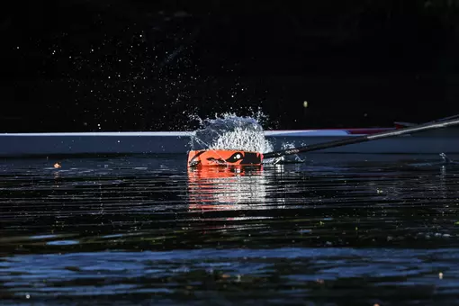 Oar