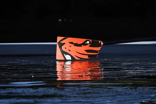 Blade of an oregon state women's rowing oar.