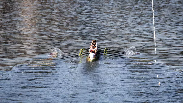 Men's Rowing