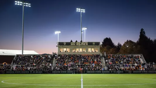 Lorenz Field