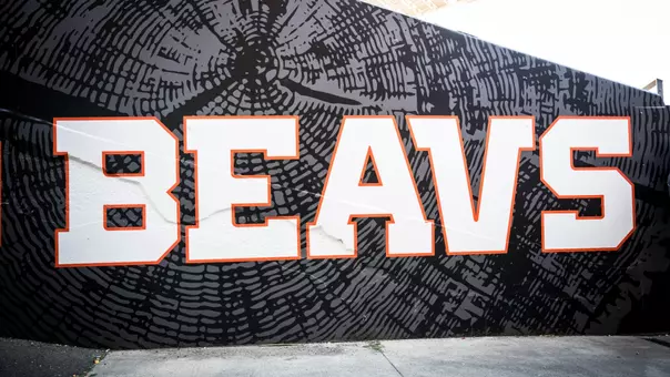 Beavs