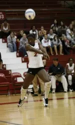 Temple Volleyball Drops 3-1 Decision To Bowling Green In Day Two Of Temple Invitational Image
