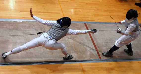 Fencing