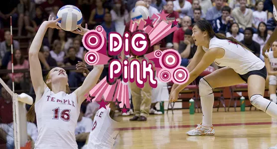 Volleyball Dig Pink
