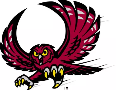 Flying Owl Logo