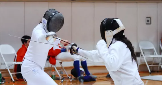 Fencing Action