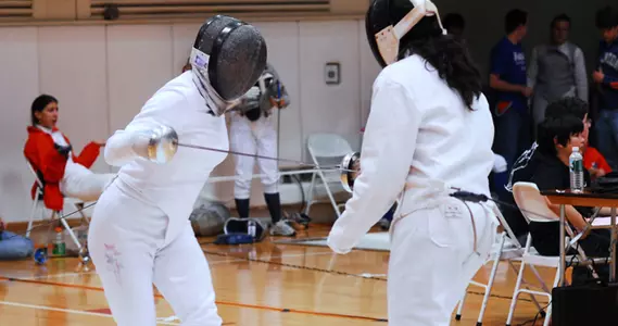 Fencing Action