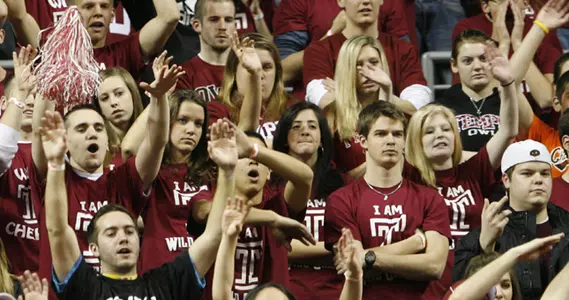 bball fans