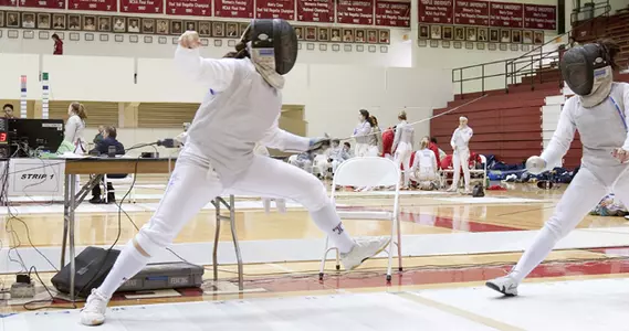 Fencing