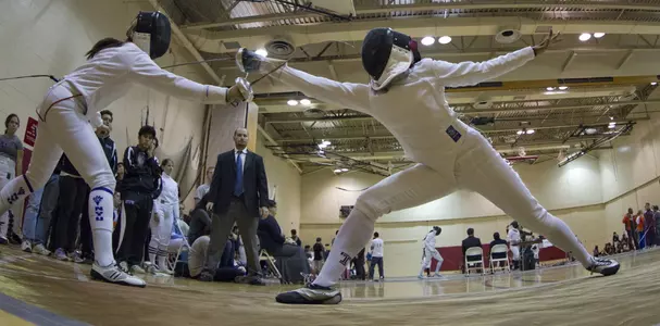 Fencing 2011 1