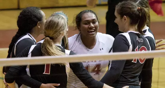 Volleyball Begins Conference Play at Xavier and Dayton This Weekend Image
