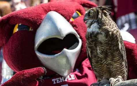 Stella and Hoot