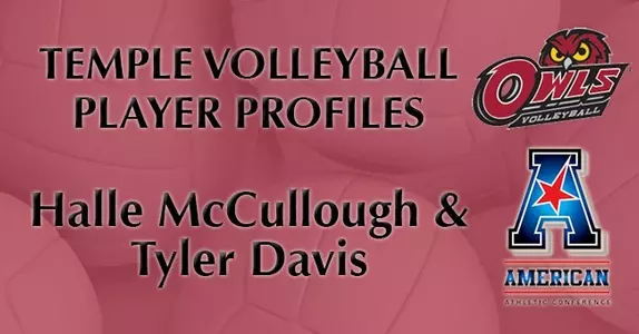 Volleyball profiles