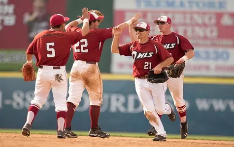 Baseball Celebration
