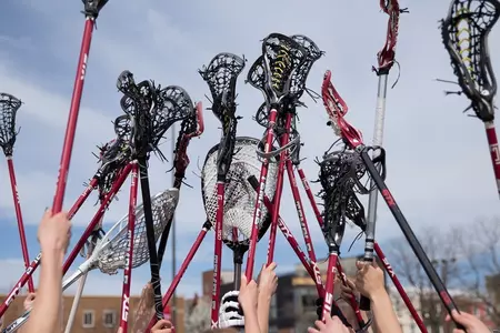 lax sticks