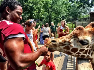 Temple Football at Elmwood Park Zoo