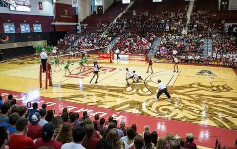 Temple Volleyball