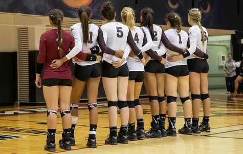 Temple Volleyball 2015