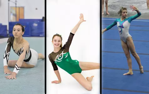 WGYMNLIsignees