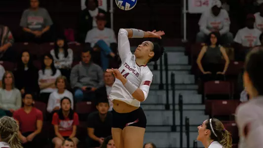 Temple Volleyball