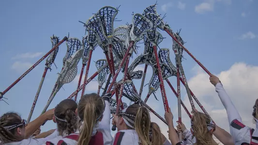 lacrosse sticks