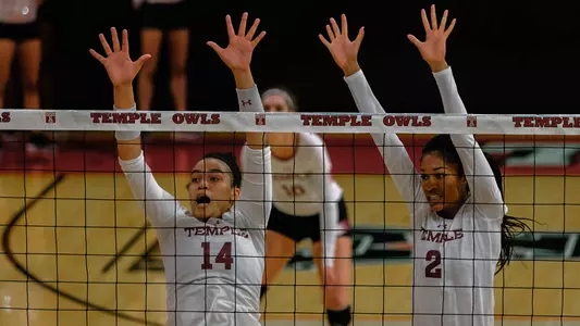 Temple Volleyball